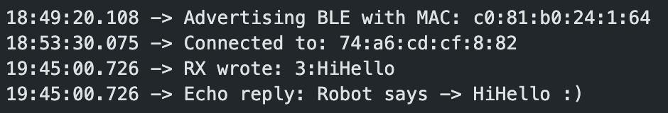 Serial monitor showing RX wrote and Echo reply for the ECHO command
